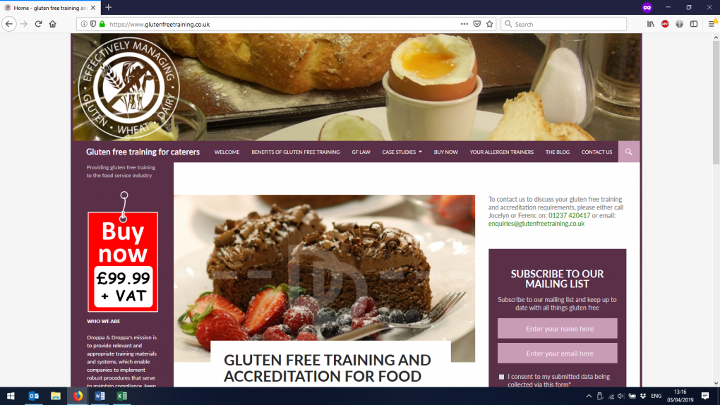 An example of a WordPress website we built
